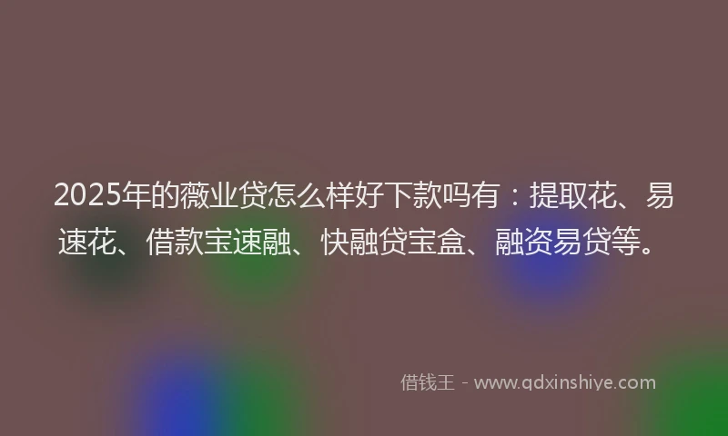 2025年的薇业贷怎么样好下款吗有：提取花、易速花、借款宝速融、快融贷宝盒、融资易贷等。