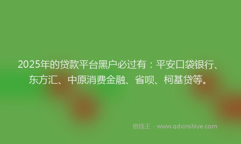 2025年的贷款平台黑户必过有：平安口袋银行、东方汇、中原消费金融、省呗、柯基贷等。