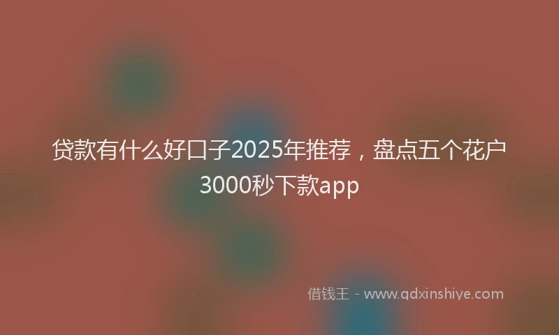贷款有什么好口子2025年推荐，盘点五个花户3000秒下款app