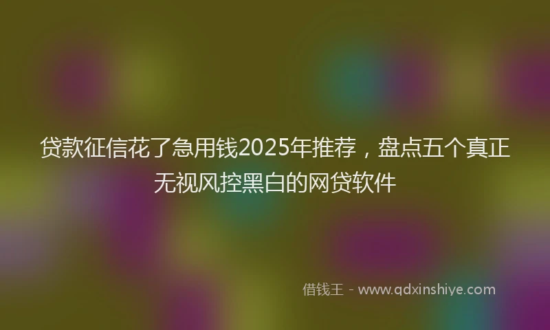 贷款征信花了急用钱2025年推荐，盘点五个真正无视风控黑白的网贷软件