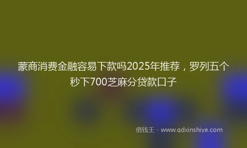 蒙商消费金融容易下款吗2025年推荐，罗列五个秒下700芝麻分贷款口子