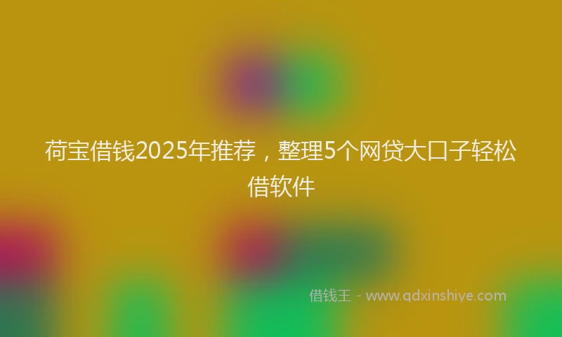 荷宝借钱2025年推荐，整理5个网贷大口子轻松借软件