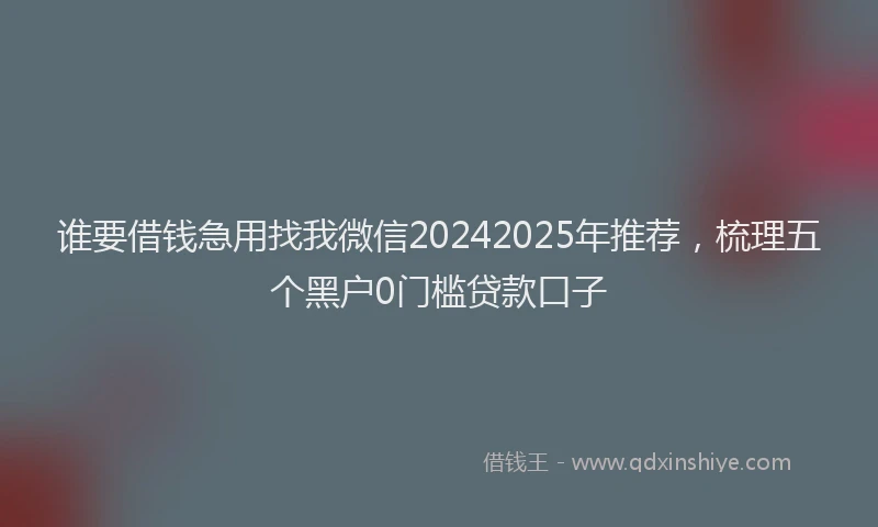 谁要借钱急用找我微信20242025年推荐，梳理五个黑户0门槛贷款口子