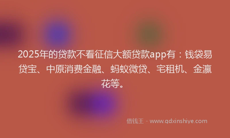 2025年的贷款不看征信大额贷款app有：钱袋易贷宝、中原消费金融、蚂蚁微贷、宅租机、金瀛花等。