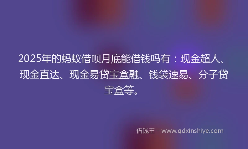 2025年的蚂蚁借呗月底能借钱吗有：现金超人、现金直达、现金易贷宝盒融、钱袋速易、分子贷宝盒等。