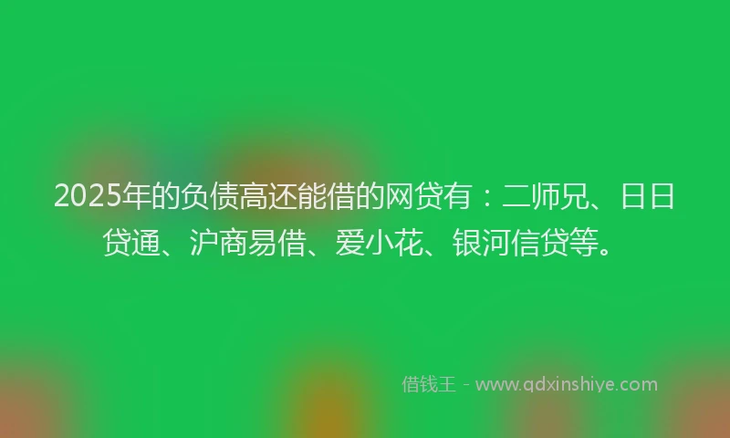 2025年的负债高还能借的网贷有：二师兄、日日贷通、沪商易借、爱小花、银河信贷等。