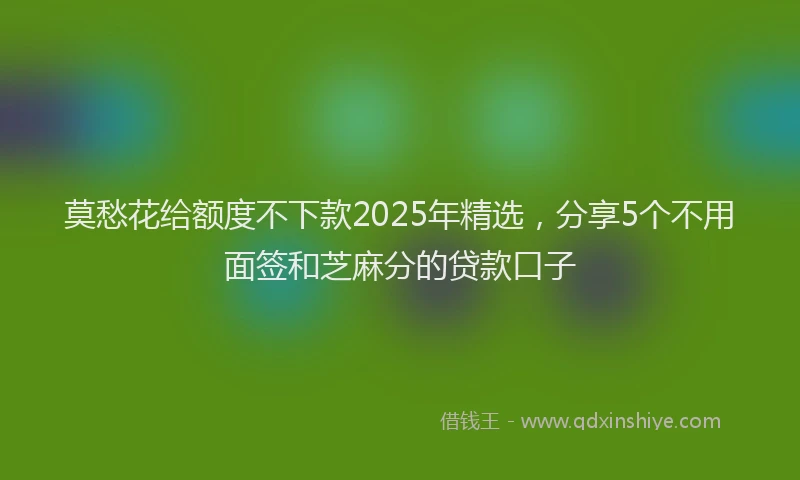 莫愁花给额度不下款2025年精选，分享5个不用面签和芝麻分的贷款口子