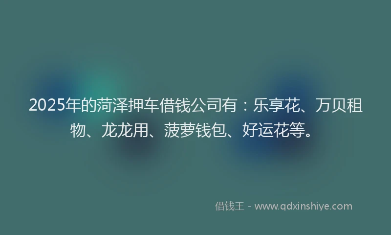 2025年的菏泽押车借钱公司有：乐享花、万贝租物、龙龙用、菠萝钱包、好运花等。