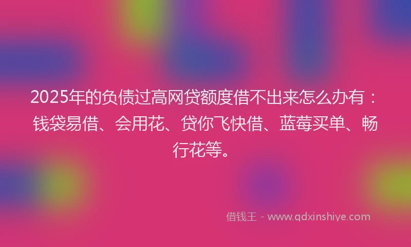 2025年的负债过高网贷额度借不出来怎么办有：钱袋易借、会用花、贷你飞快借、蓝莓买单、畅行花等。