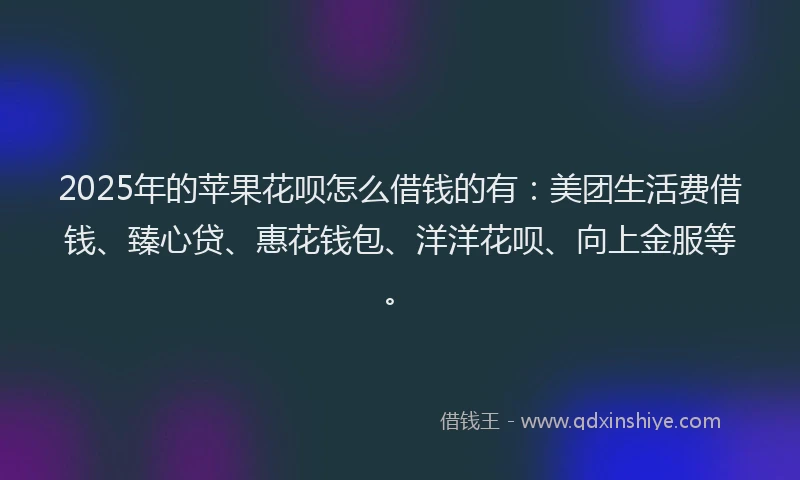 2025年的苹果花呗怎么借钱的有：美团生活费借钱、臻心贷、惠花钱包、洋洋花呗、向上金服等。
