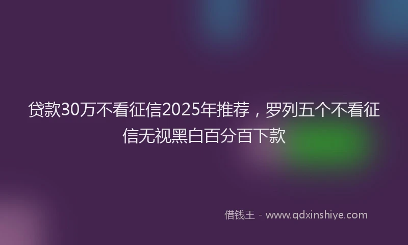 贷款30万不看征信2025年推荐，罗列五个不看征信无视黑白百分百下款