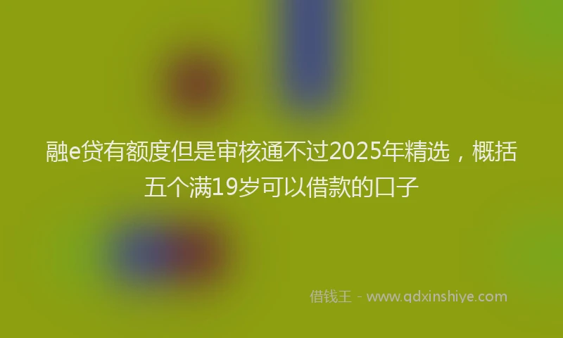 融e贷有额度但是审核通不过2025年精选，概括五个满19岁可以借款的口子