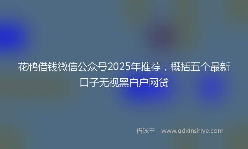 花鸭借钱微信公众号2025年推荐，概括五个最新口子无视黑白户网贷
