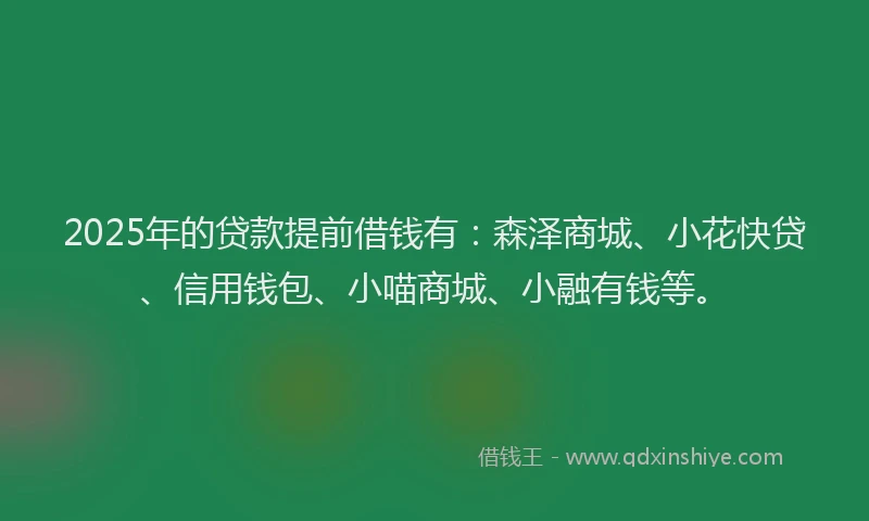 2025年的贷款提前借钱有：森泽商城、小花快贷、信用钱包、小喵商城、小融有钱等。