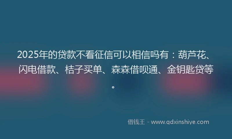 2025年的贷款不看征信可以相信吗有：葫芦花、闪电借款、桔子买单、森森借呗通、金钥匙贷等。