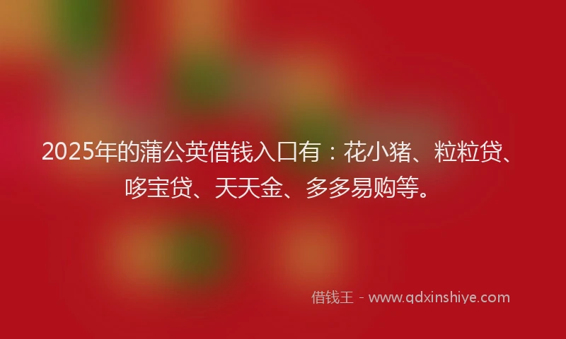 2025年的蒲公英借钱入口有：花小猪、粒粒贷、哆宝贷、天天金、多多易购等。