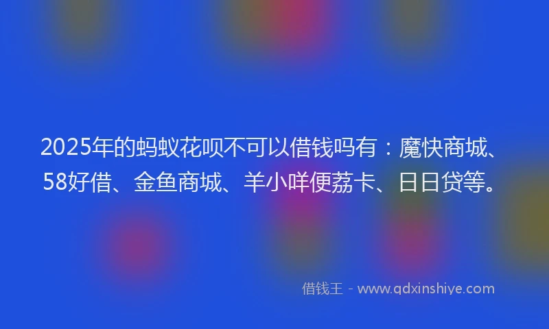 2025年的蚂蚁花呗不可以借钱吗有：魔快商城、58好借、金鱼商城、羊小咩便荔卡、日日贷等。