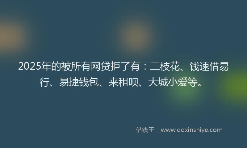 2025年的被所有网贷拒了有：三枝花、钱速借易行、易捷钱包、来租呗、大城小爱等。
