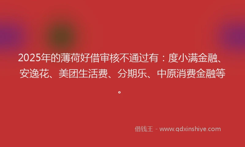 2025年的薄荷好借审核不通过有：度小满金融、安逸花、美团生活费、分期乐、中原消费金融等。