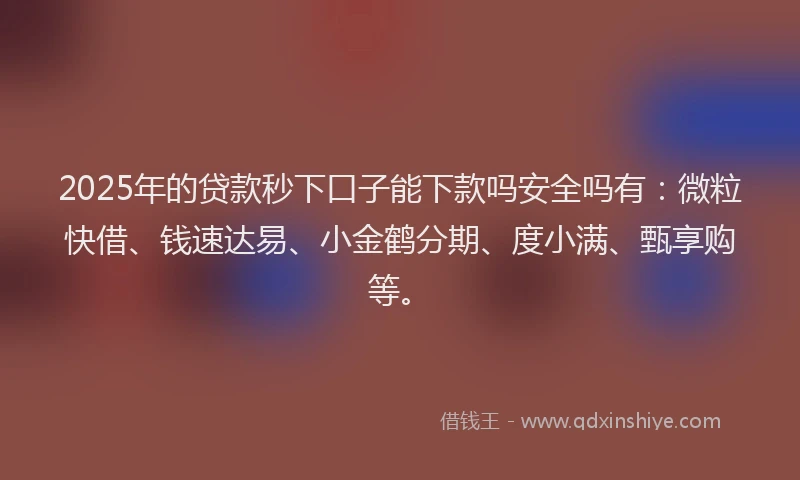 2025年的贷款秒下口子能下款吗安全吗有：微粒快借、钱速达易、小金鹤分期、度小满、甄享购等。