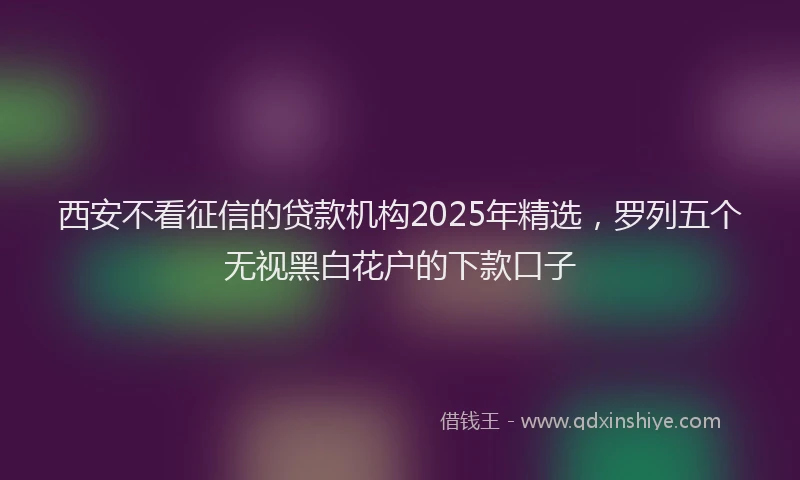 西安不看征信的贷款机构2025年精选，罗列五个无视黑白花户的下款口子
