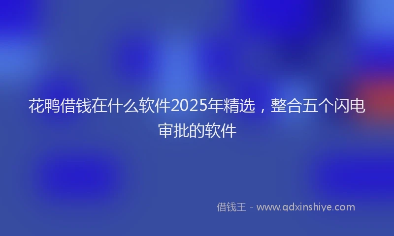 花鸭借钱在什么软件2025年精选，整合五个闪电审批的软件