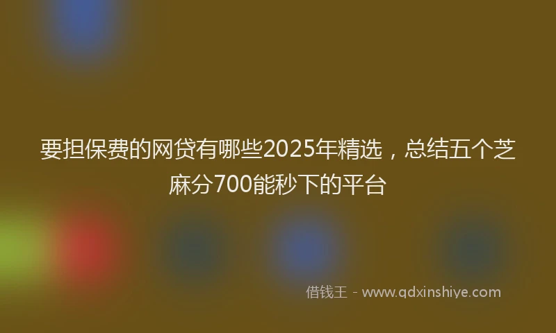要担保费的网贷有哪些2025年精选，总结五个芝麻分700能秒下的平台