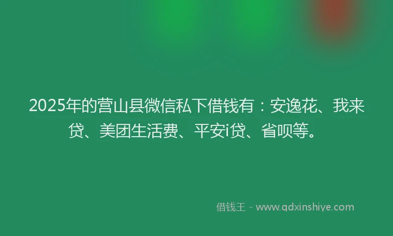 2025年的营山县微信私下借钱有：安逸花、我来贷、美团生活费、平安i贷、省呗等。