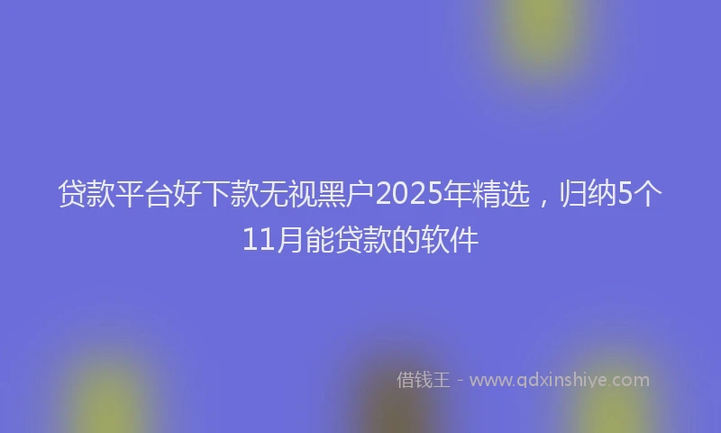 贷款平台好下款无视黑户2025年精选，归纳5个11月能贷款的软件
