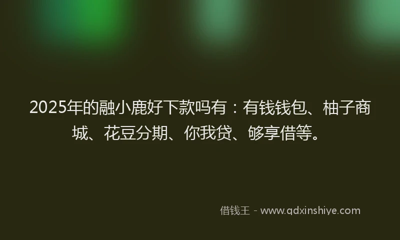 2025年的融小鹿好下款吗有：有钱钱包、柚子商城、花豆分期、你我贷、够享借等。
