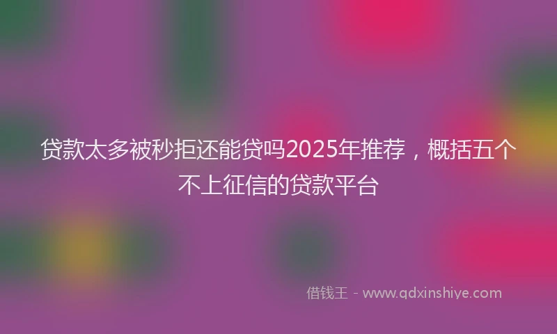 贷款太多被秒拒还能贷吗2025年推荐，概括五个不上征信的贷款平台