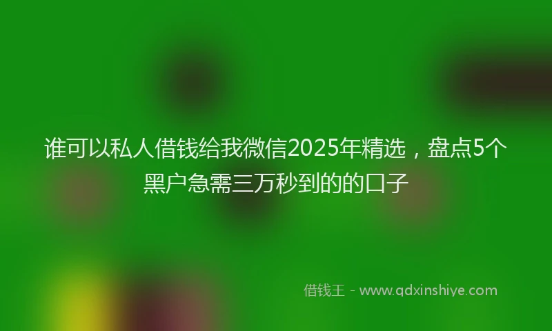 谁可以私人借钱给我微信2025年精选，盘点5个黑户急需三万秒到的的口子