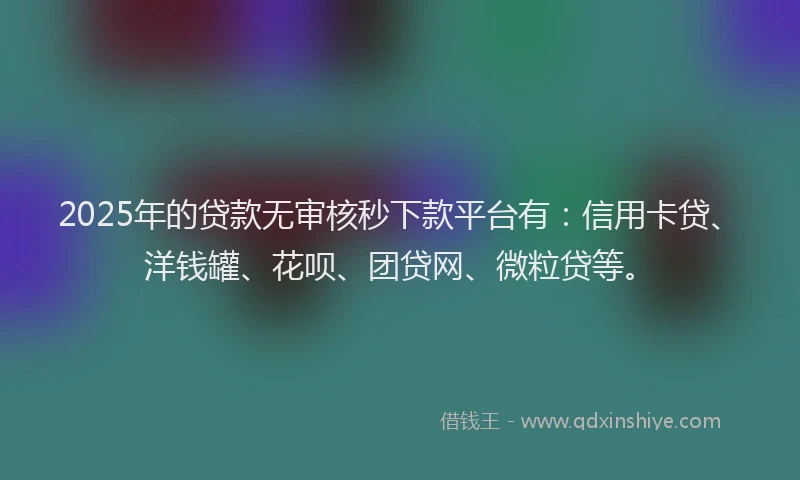 2025年的贷款无审核秒下款平台有：信用卡贷、洋钱罐、花呗、团贷网、微粒贷等。