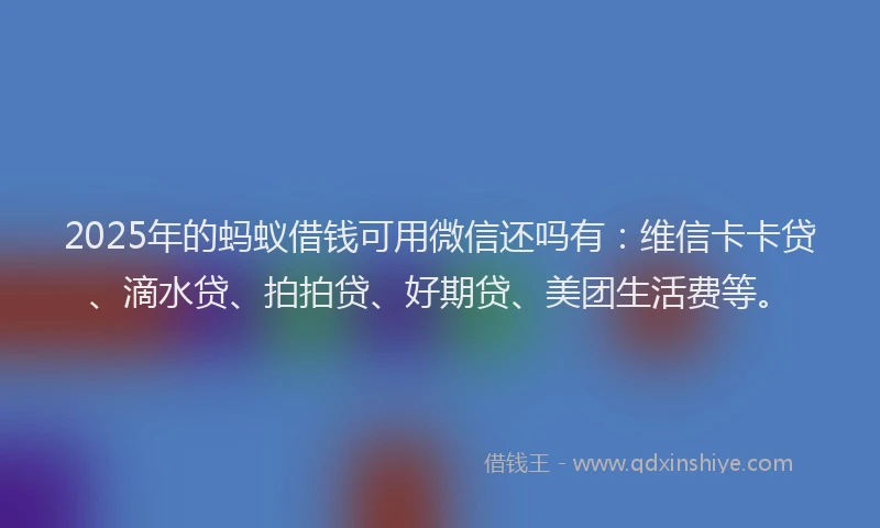 2025年的蚂蚁借钱可用微信还吗有：维信卡卡贷、滴水贷、拍拍贷、好期贷、美团生活费等。