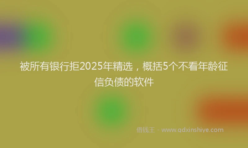 被所有银行拒2025年精选，概括5个不看年龄征信负债的软件