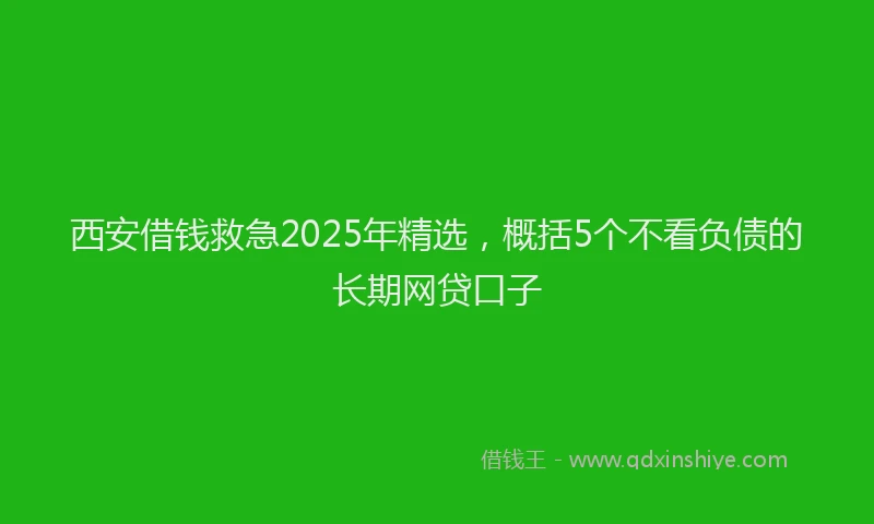 西安借钱救急2025年精选，概括5个不看负债的长期网贷口子