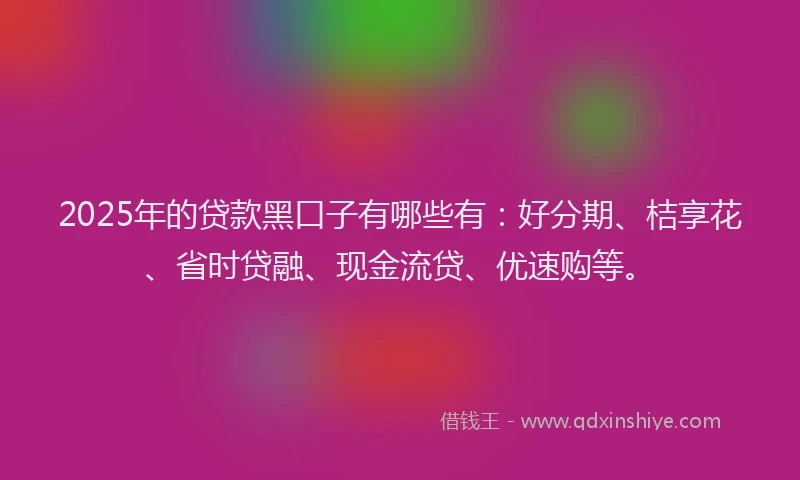 2025年的贷款黑口子有哪些有：好分期、桔享花、省时贷融、现金流贷、优速购等。