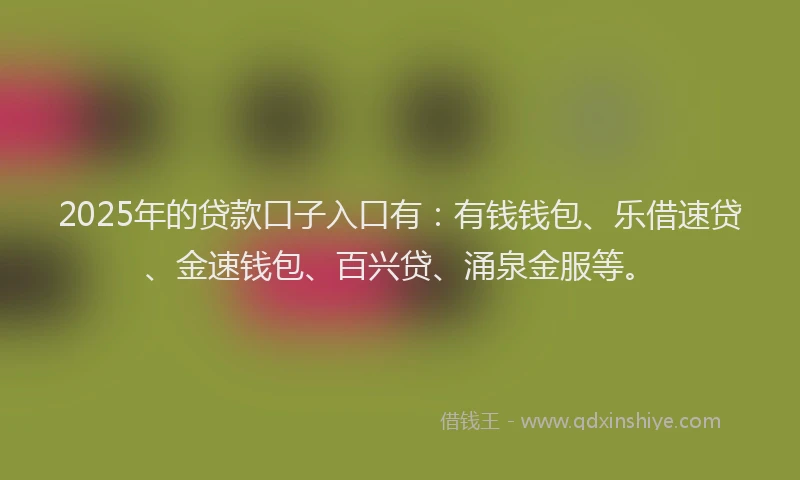 2025年的贷款口子入口有：有钱钱包、乐借速贷、金速钱包、百兴贷、涌泉金服等。