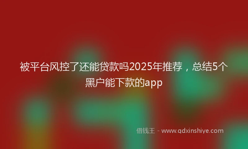 被平台风控了还能贷款吗2025年推荐，总结5个黑户能下款的app