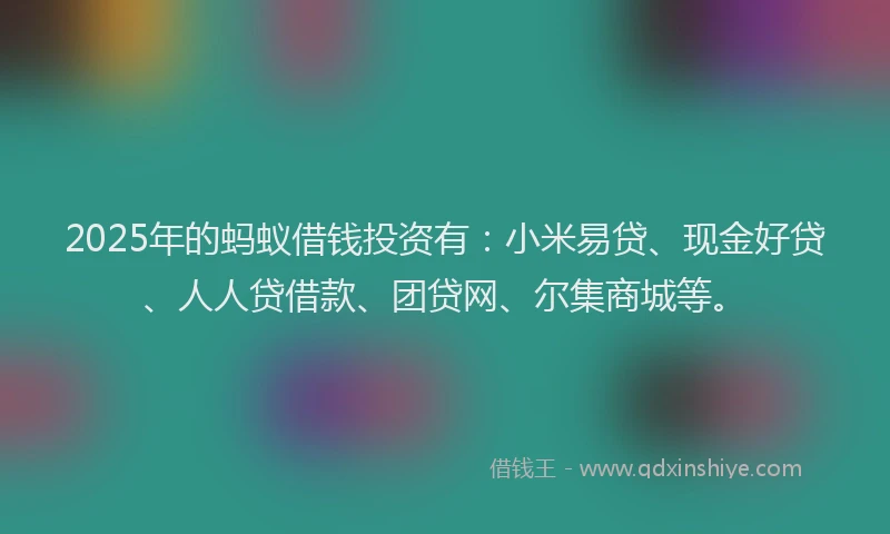 2025年的蚂蚁借钱投资有：小米易贷、现金好贷、人人贷借款、团贷网、尔集商城等。