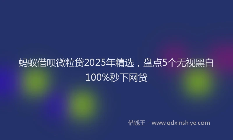 蚂蚁借呗微粒贷2025年精选，盘点5个无视黑白100%秒下网贷