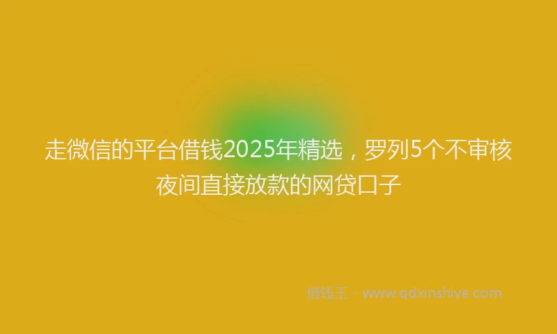 走微信的平台借钱2025年精选，罗列5个不审核夜间直接放款的网贷口子