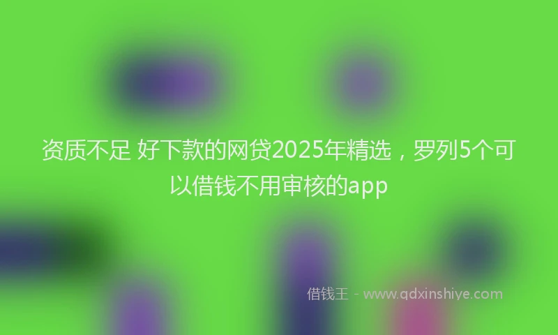 资质不足 好下款的网贷2025年精选，罗列5个可以借钱不用审核的app