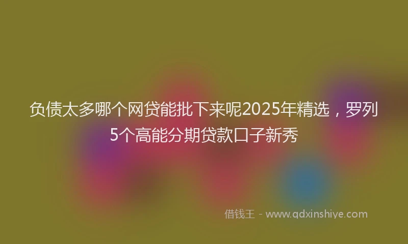 负债太多哪个网贷能批下来呢2025年精选，罗列5个高能分期贷款口子新秀