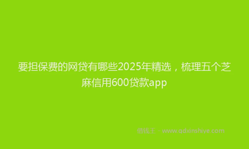 要担保费的网贷有哪些2025年精选，梳理五个芝麻信用600贷款app