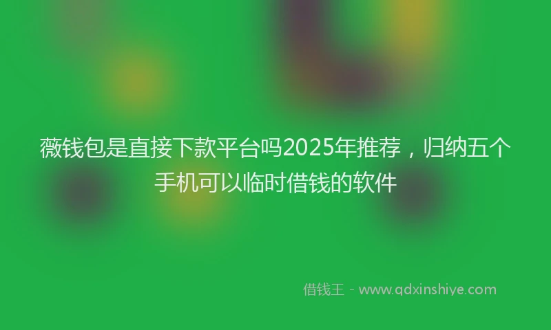 薇钱包是直接下款平台吗2025年推荐，归纳五个手机可以临时借钱的软件