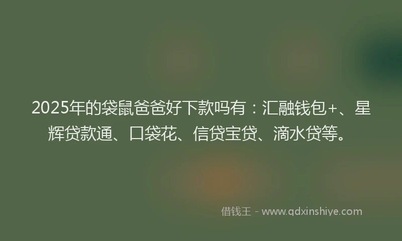 2025年的袋鼠爸爸好下款吗有：汇融钱包+、星辉贷款通、口袋花、信贷宝贷、滴水贷等。