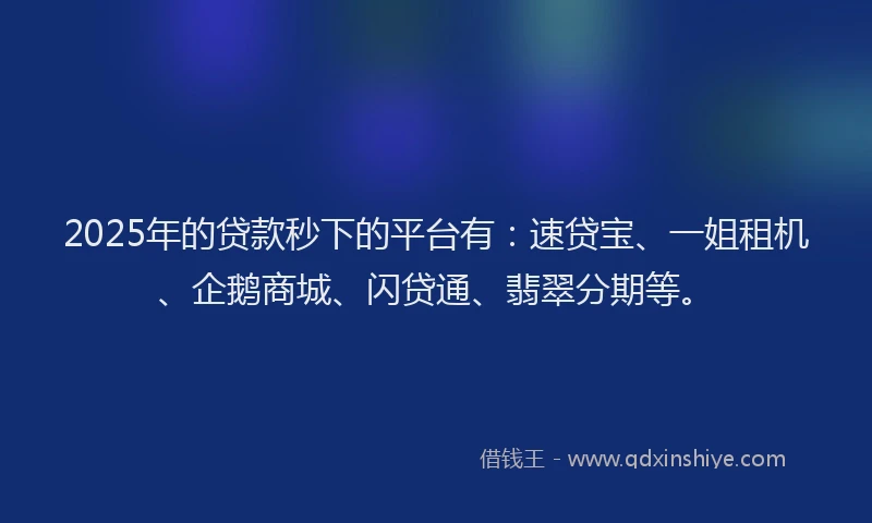 2025年的贷款秒下的平台有：速贷宝、一姐租机、企鹅商城、闪贷通、翡翠分期等。