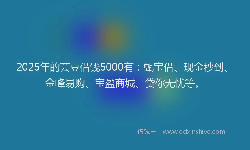 2025年的芸豆借钱5000有：甄宝借、现金秒到、金峰易购、宝盈商城、贷你无忧等。