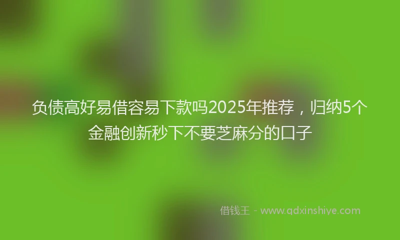 负债高好易借容易下款吗2025年推荐，归纳5个金融创新秒下不要芝麻分的口子
